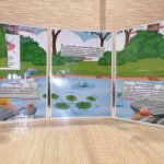 Фото розробки: Лепбук “Молюски”