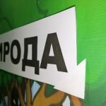 Фото розробки: Стіна слів “Грибочок”