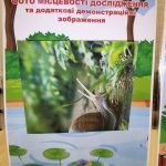 Фото розробки: Лепбук “Молюски”