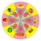 Коло Луллія “Корисна чи шкідлива їжа?”