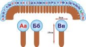 Сигнальні картки “Алфавіт” 9 аркушів А4 для друку вдома!