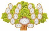 Дерево нашого класу на 12 Аркушах А4!