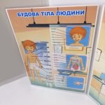 Фото розробки: Лепбук “Людина та її організм”