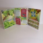 Фото розробки: Лепбук “Світ рослин”