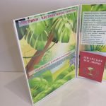 Фото розробки: Лепбук “Світ рослин”