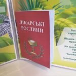 Фото розробки: Лепбук “Світ рослин”