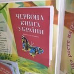 Фото розробки: Лепбук “Світ рослин”