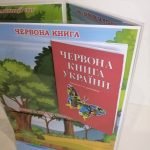 Фото розробки: Лепбук “Світ тварин”