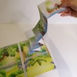 Фото розробки: Лепбук “Світ рослин”