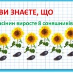 Фото розробки: Презентація “Ознайомлення з поняттям “Задача”.Складові частини задачі”
