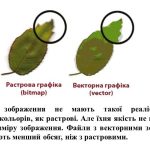 Фото розробки: “Поняття комп’ютерної графіки. Растрові і векторні зображення” презентація з інформатики 5 кл НУШ