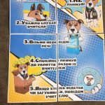 Фото розробки: Плакат Правила поведінки під час тривоги з Патроном