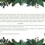 Фото розробки: Мовленнєва вправа “Тато який?”