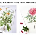 Фото розробки: “Ботанічні замальовки” презентація до уроку образотворчого мистецтва