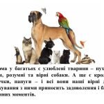 Фото розробки: “Анімалістичний жанр у живописі та графіці” презентація до уроку образотворчого мистецтва 6 клас НУШ