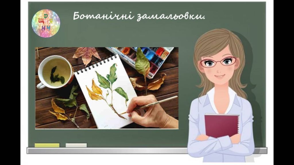 Головне зображення розробки: “Ботанічні замальовки” презентація до уроку образотворчого мистецтва