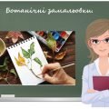 “Ботанічні замальовки” презентація до уроку образотворчого мистецтва
