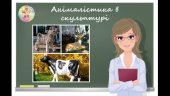 “Анімалістика в скульптурі” презентація до уроку образотворчого мистецтва 6кл