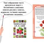Фото розробки: “Ботанічні замальовки” презентація до уроку образотворчого мистецтва