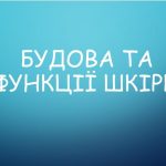 Будова і функції шкіри