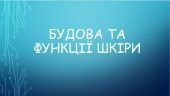 Будова і функції шкіри