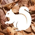 Фото розробки: Шаблони для творчості на тему “Осінь”