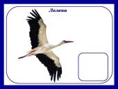 Дидактична гра «Перелітні чи зимуючі птахи?» (ознайомлення з природою)