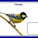 Фото розробки: Дидактична гра «Перелітні чи зимуючі птахи?» (ознайомлення з природою)