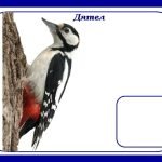 Фото розробки: Дидактична гра «Перелітні чи зимуючі птахи?» (ознайомлення з природою)