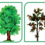 Фото розробки: Дидактична гра “З якого дерева листочок?” (ознайомлення з природою)