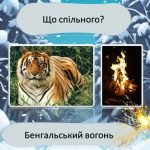 Фото розробки: Новорічна ходилка математика 5 клас НУШ