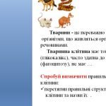 Фото розробки: Інтерактивні тренажери з анатомії людини