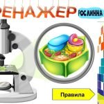 Фото розробки: Інтерактивні тренажери з анатомії людини