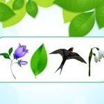 Фото розробки: Гра на уважність “Що зникло? Весна”