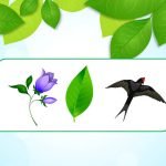 Фото розробки: Гра на уважність “Що зникло? Весна”