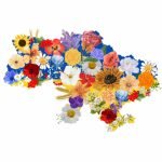 Фото розробки: “Квітуча Україна” шаблон