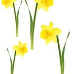 Фото розробки: Весняний декор на вікна