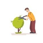 Фото розробки: Дидактичні ігри: “Склади розповідь за картинками”, “Так чи ні”