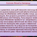 Фото розробки: Презентація “Віртуальна подорож мальовничими куточками України”