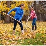 Фото розробки: Дидактичні ігри: “Склади розповідь за картинками”, “Так чи ні”