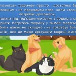 Фото розробки: Презентація “4 квітня – Міжнародний День безпритульних тварин”
