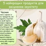 Фото розробки: Анімована презентація “Імунітет” на 20 слайдів