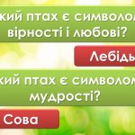 Фото розробки: Анімована інформаційно-ігрова презентація “1 квітня – Міжнародний день птахів”