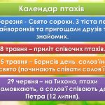 Фото розробки: Анімована інформаційно-ігрова презентація “1 квітня – Міжнародний день птахів”