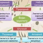 Фото розробки: Анімована презентація “Імунітет” на 20 слайдів