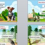 Фото розробки: Презентація “Мінна безпека” 2024