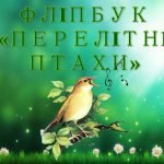 Фліпбук “Птахи”
