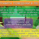 Фото розробки: Презентація “Інструктаж з БЖД на літні канікули”