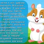 Фото розробки: Презентація “12 квітня – Всесвітній день хом’яка”