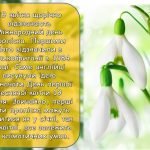 Фото розробки: Презентація “19 квітня – Міжнародний день проліска”